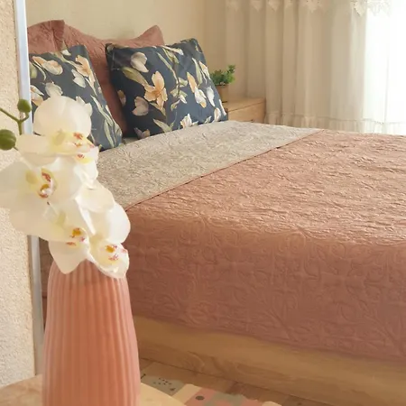City Apartment Dojran Apartment